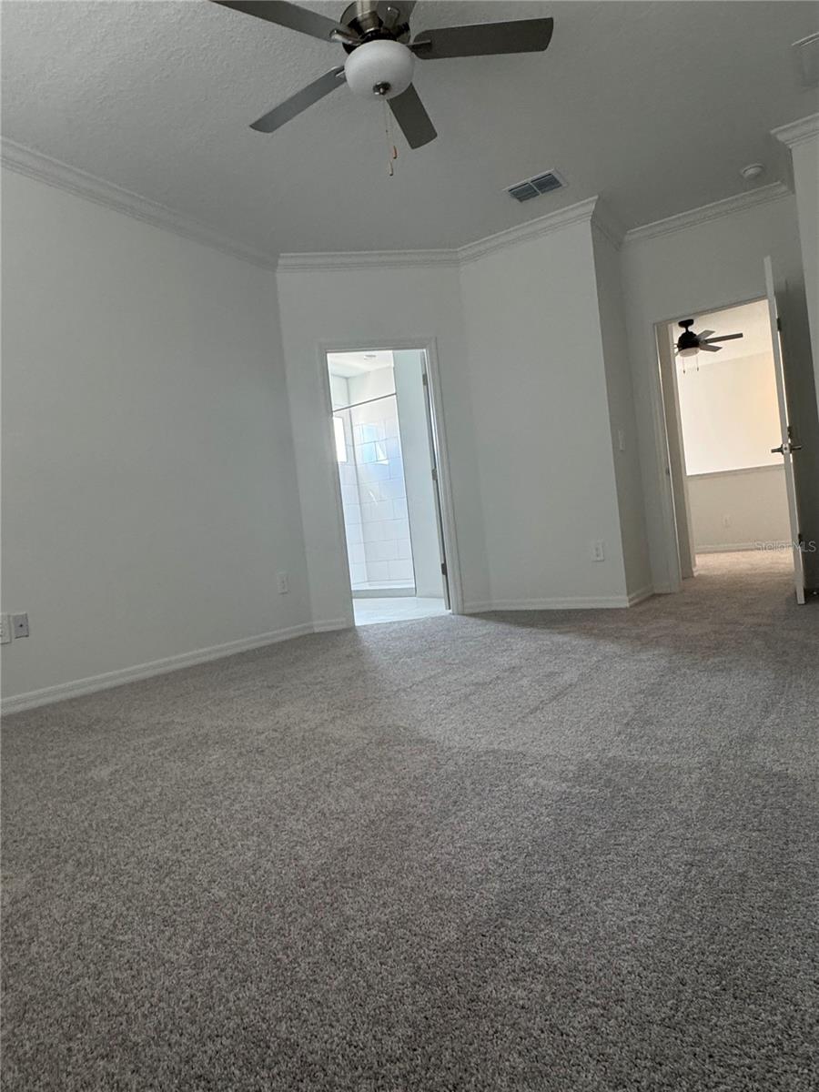 10812 FANNING SPRINGS CT, TAMPA, FL, 33647