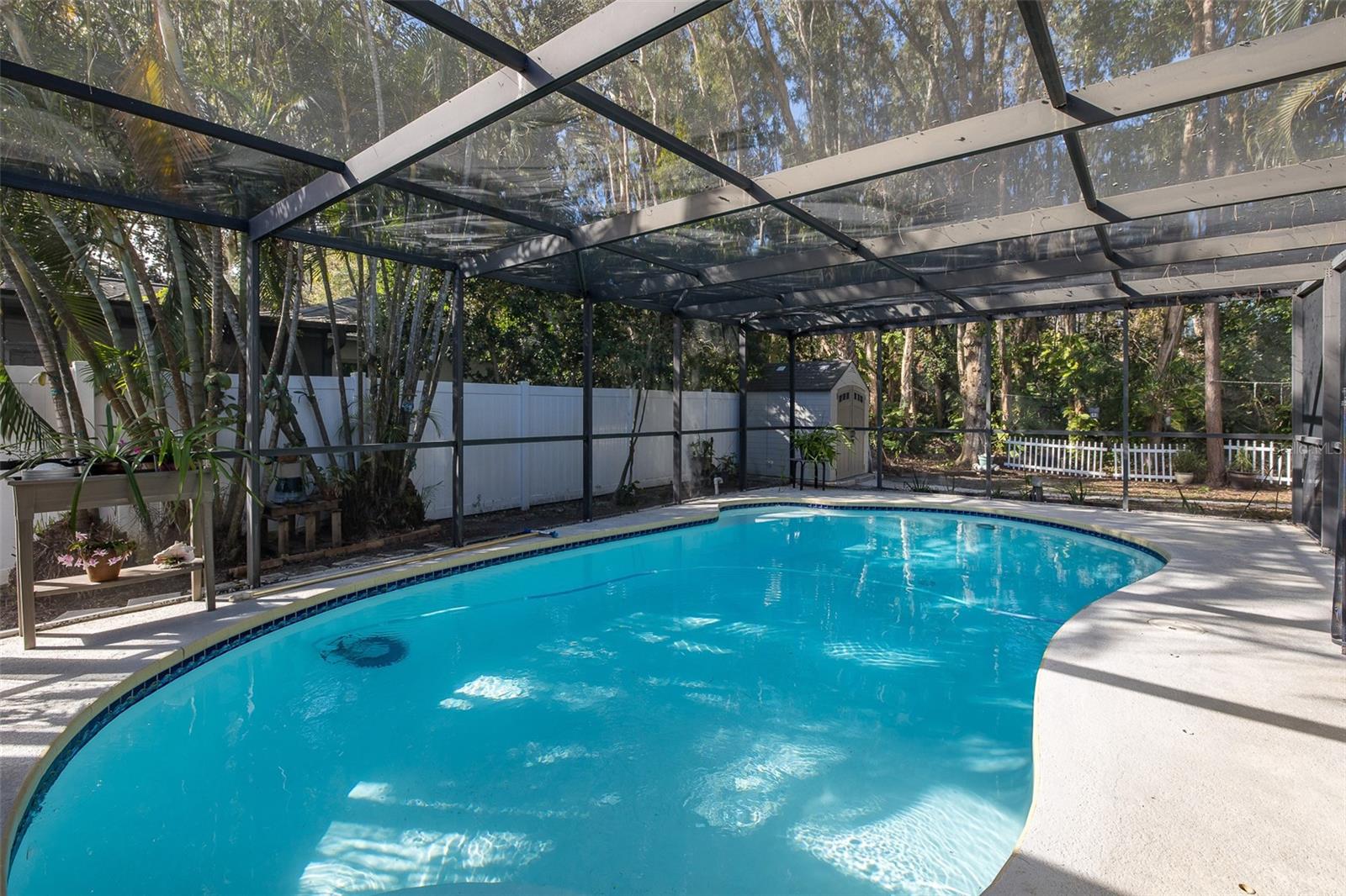 6 FRESHWATER DR, PALM HARBOR, FL, 34684