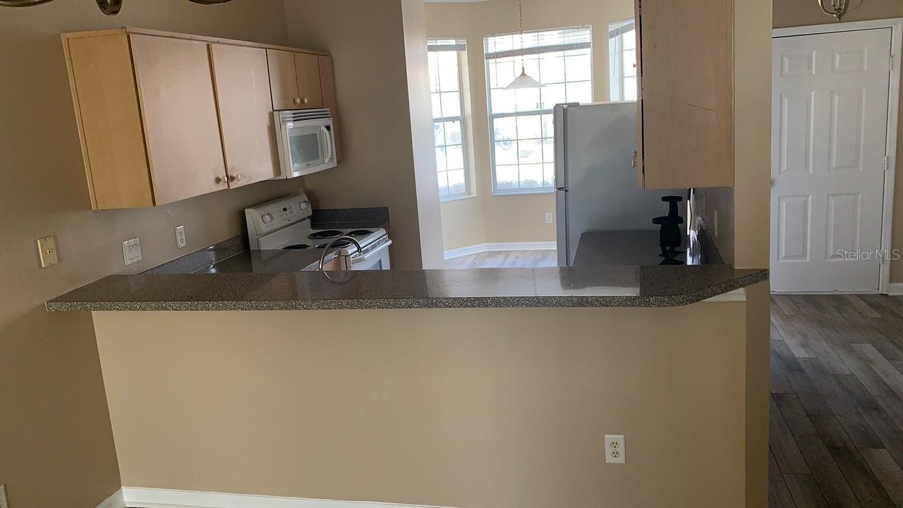 1142 S BEACH CIR, KISSIMMEE, FL, 34746