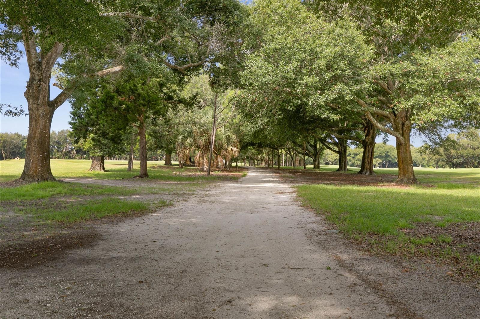 3238 BAILEY ANN DR, ORMOND BEACH, FL, 32174
