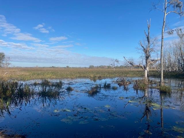 16325 CLARENCE LEE RD, GROVELAND, FL, 34736