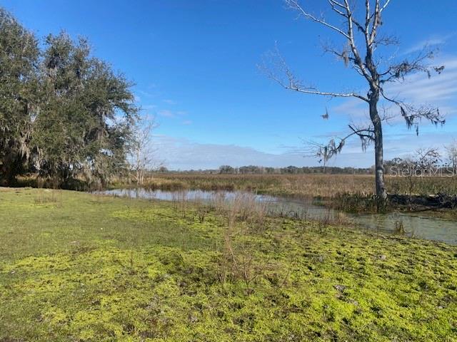 16325 CLARENCE LEE RD, GROVELAND, FL, 34736
