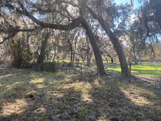 16325 CLARENCE LEE RD, GROVELAND, FL, 34736