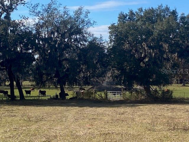 16325 CLARENCE LEE RD, GROVELAND, FL, 34736
