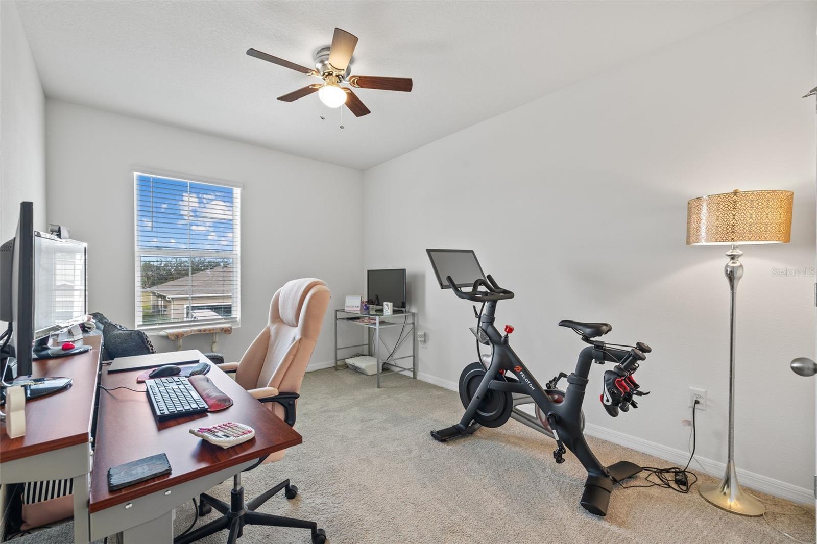 16961 OVAL RUM DR, WIMAUMA, FL, 33598
