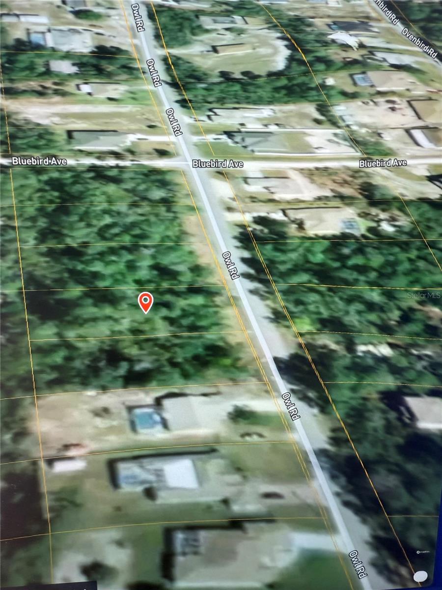 6513 OWL RD, WEEKI WACHEE, FL, 34613