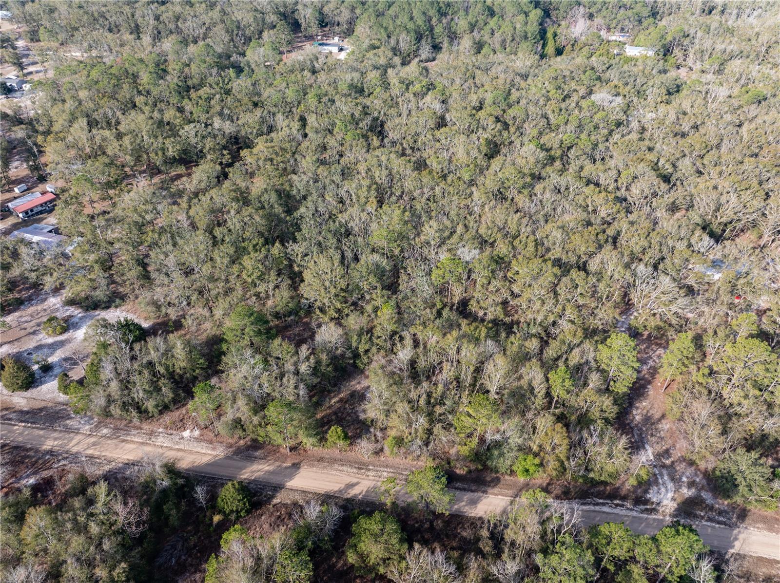 33RD RD, WELLBORN, FL, 32094