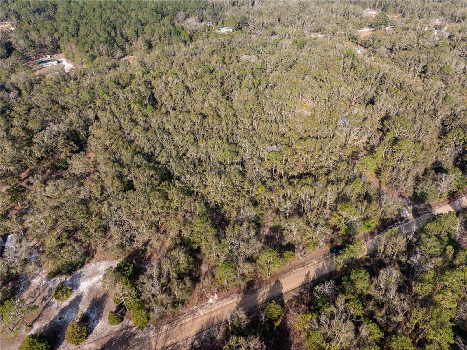 33RD RD, WELLBORN, FL, 32094