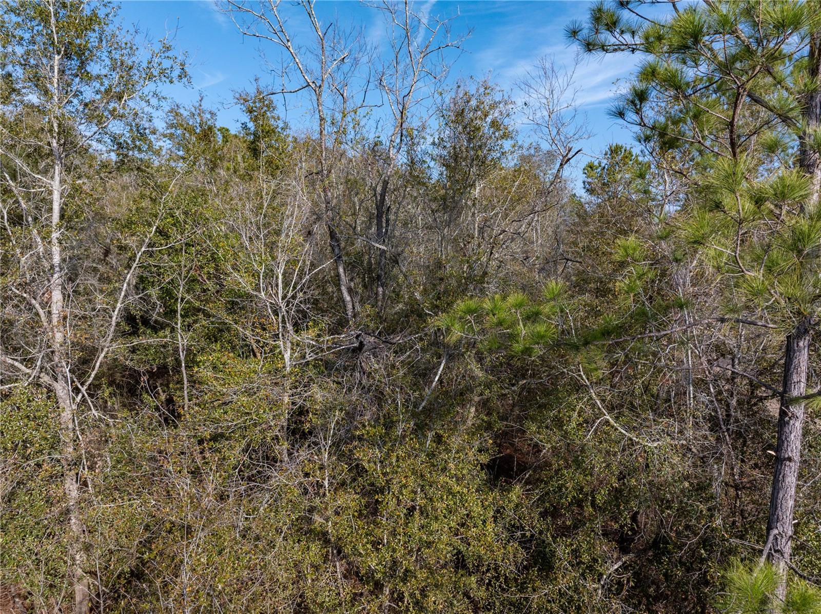 33RD RD, WELLBORN, FL, 32094