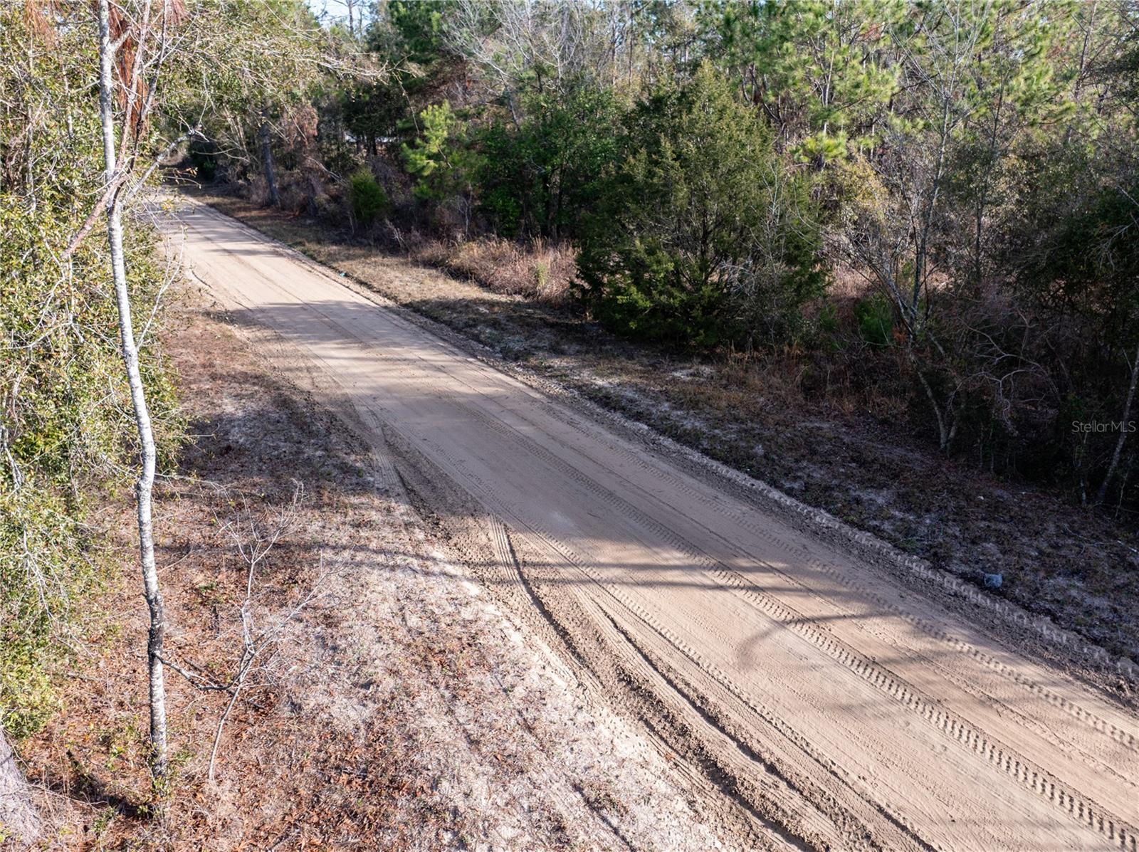 33RD RD, WELLBORN, FL, 32094