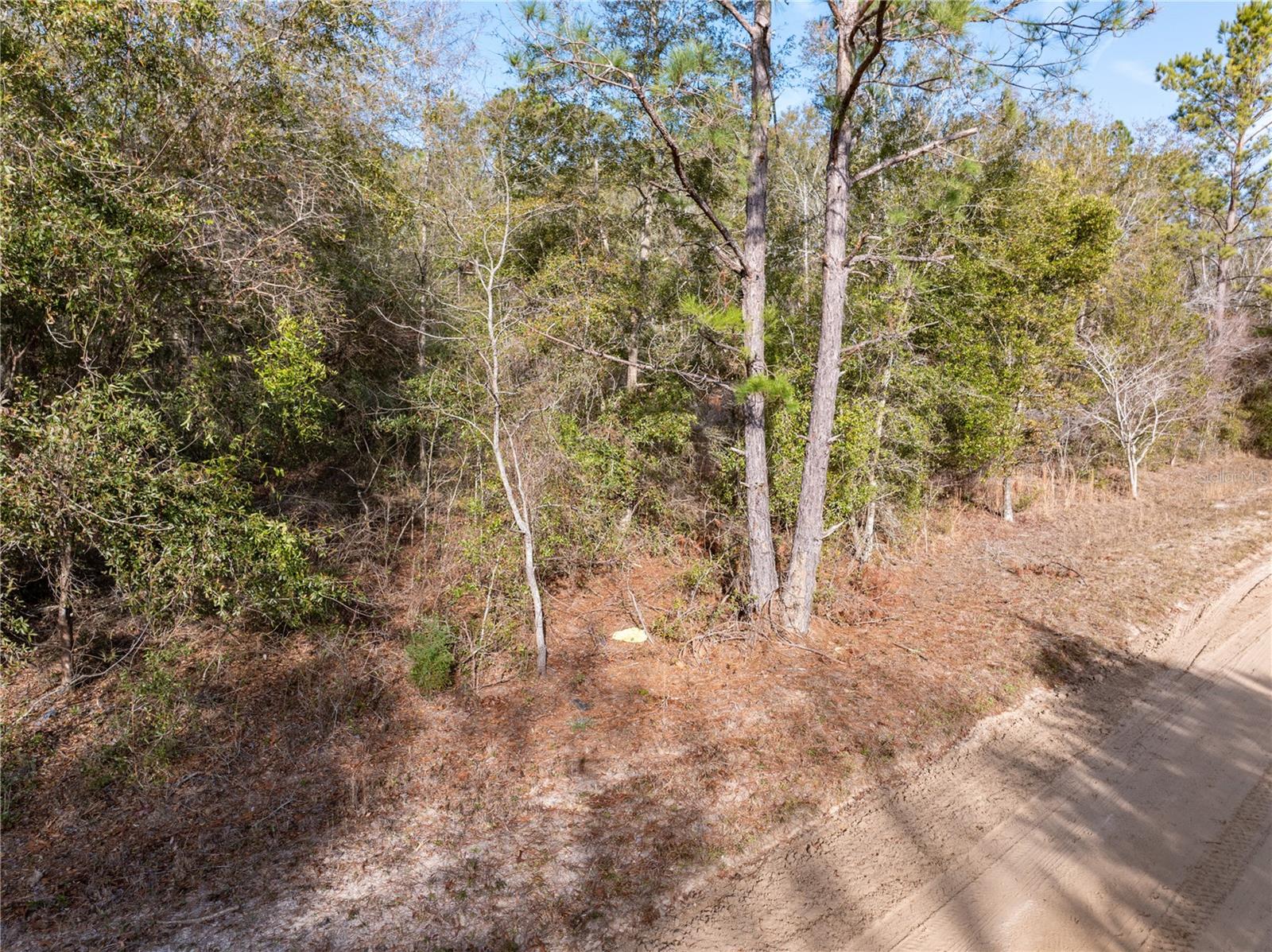 33RD RD, WELLBORN, FL, 32094