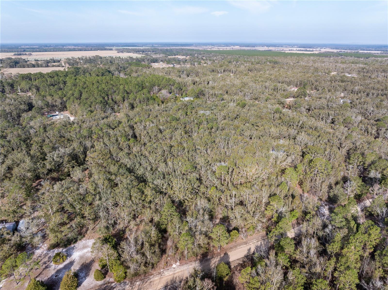 33RD RD, WELLBORN, FL, 32094