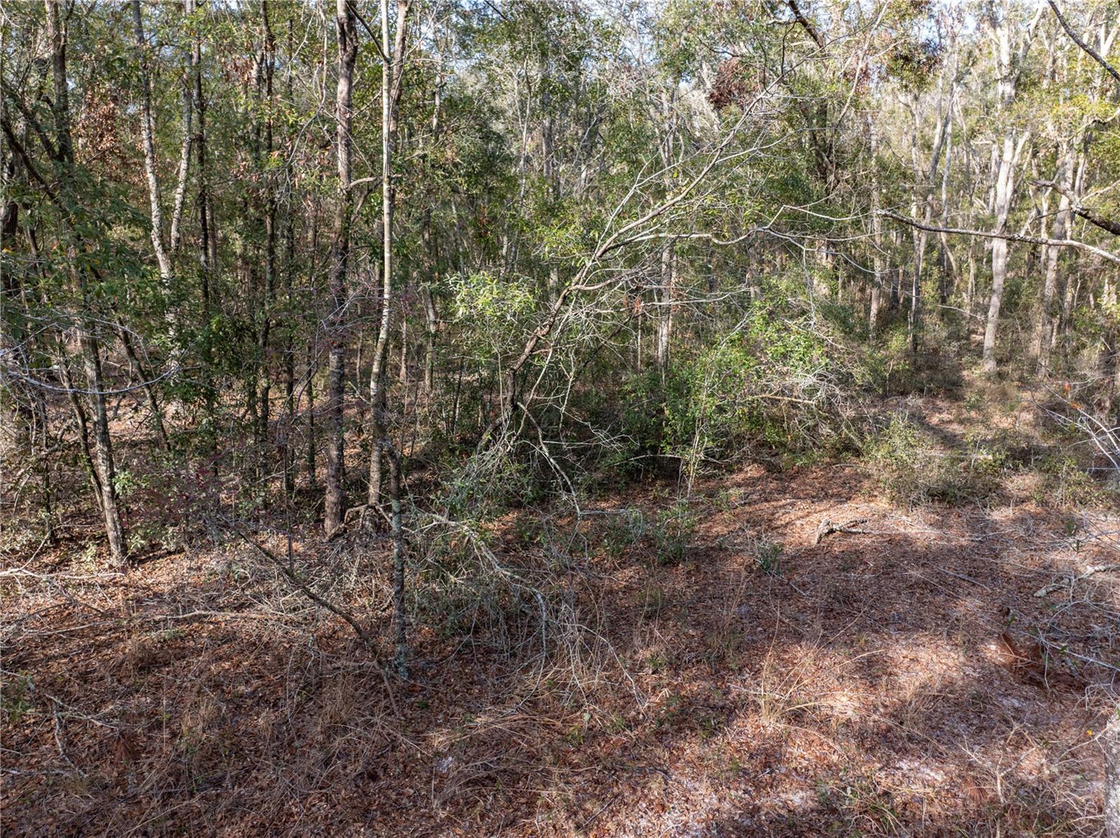 33RD RD, WELLBORN, FL, 32094