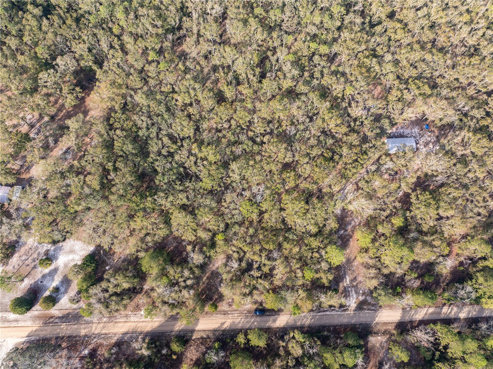 33RD RD, WELLBORN, FL, 32094