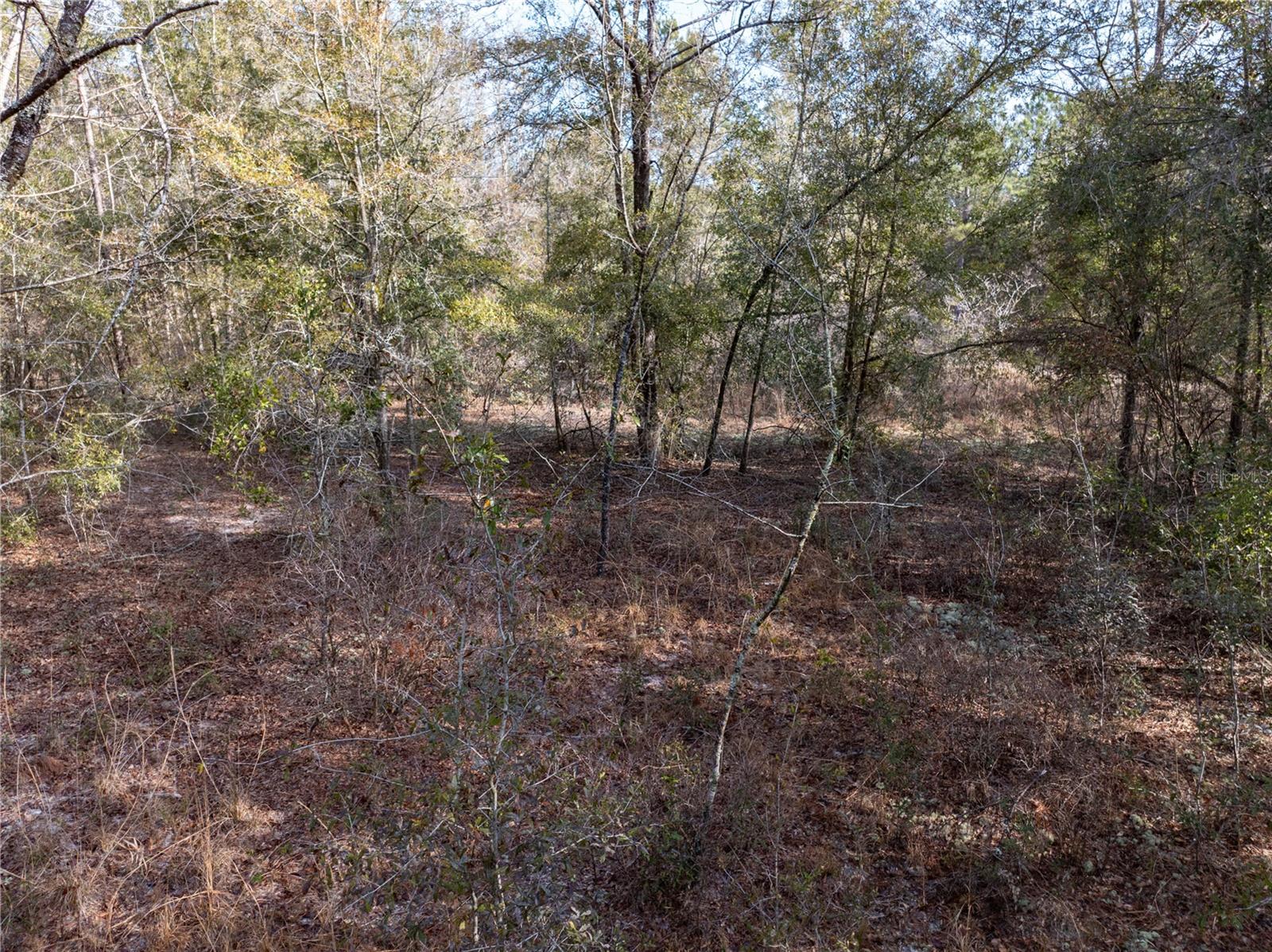 33RD RD, WELLBORN, FL, 32094