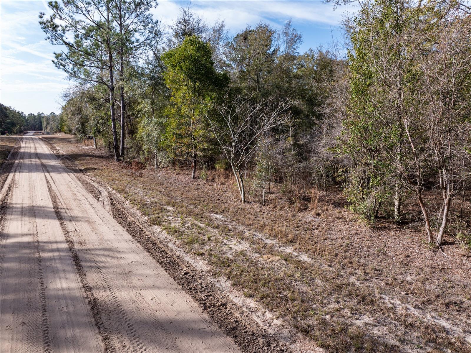 33RD RD, WELLBORN, FL, 32094