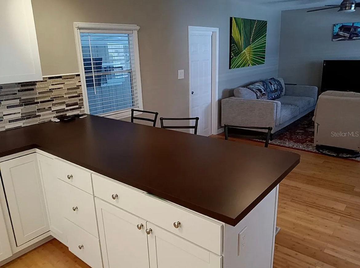 719 DRIFTWOOD LN, TARPON SPRINGS, FL, 34689