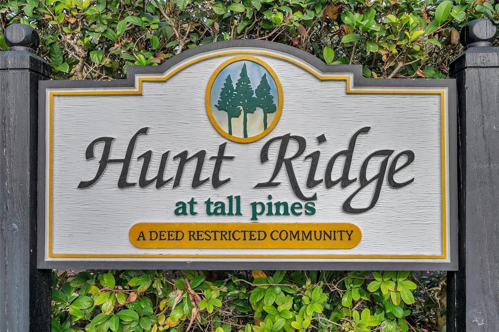 10830 BROOKHAVEN DR, NEW PORT RICHEY, FL, 34654
