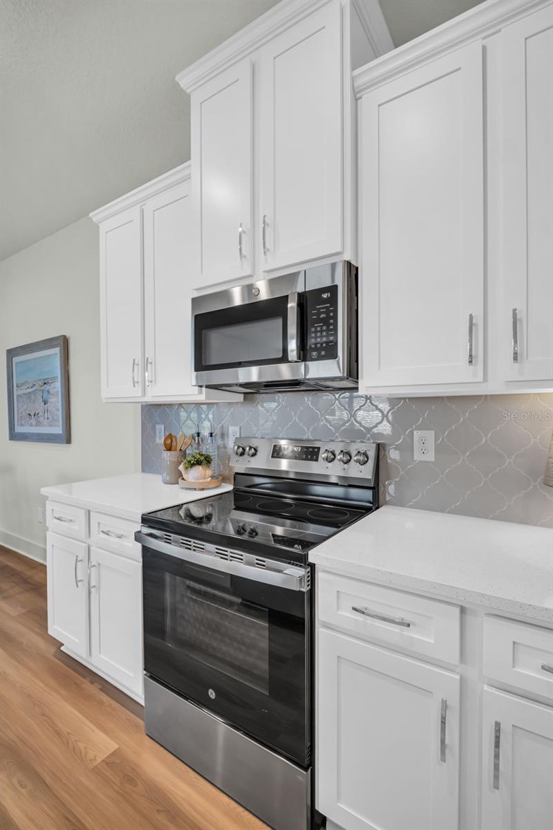 13719 EMERALD FIELDS DR, HUDSON, FL, 34667