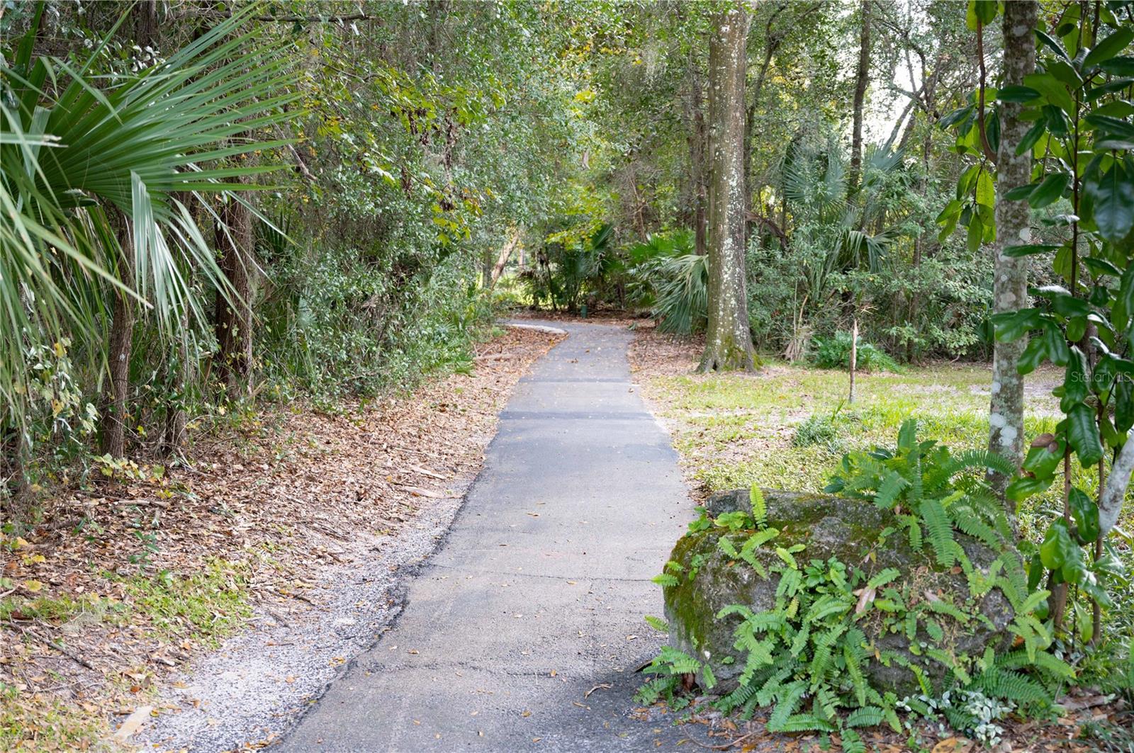 235 PINE CONE TRL, ORMOND BEACH, FL, 32174