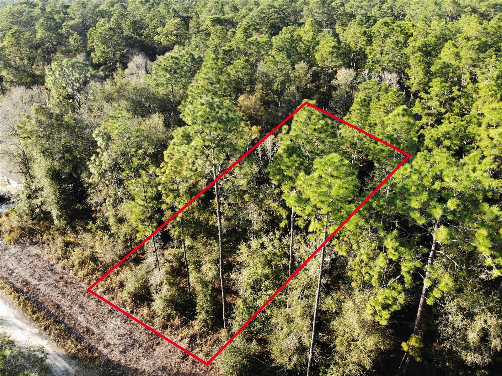 SW 38TH PL #38, OCALA, FL, 34481