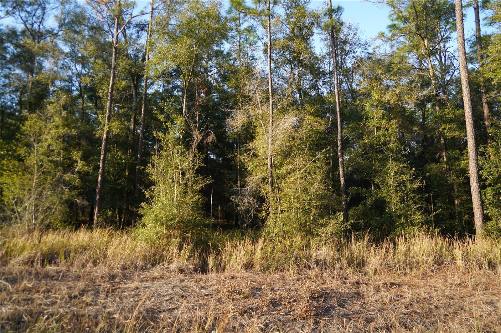 SW 38TH PL #38, OCALA, FL, 34481