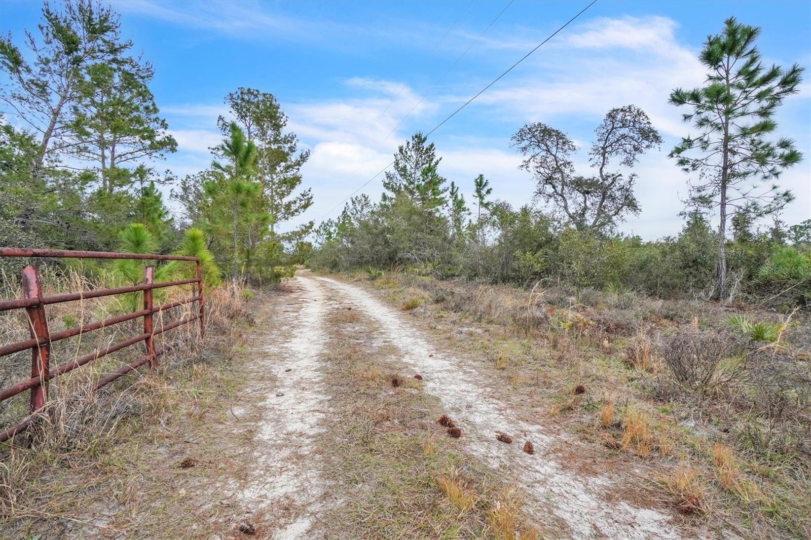 APRICOT AVE, EUSTIS, FL, 32736