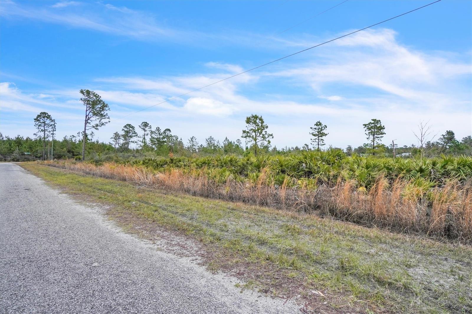 APRICOT AVE, EUSTIS, FL, 32736