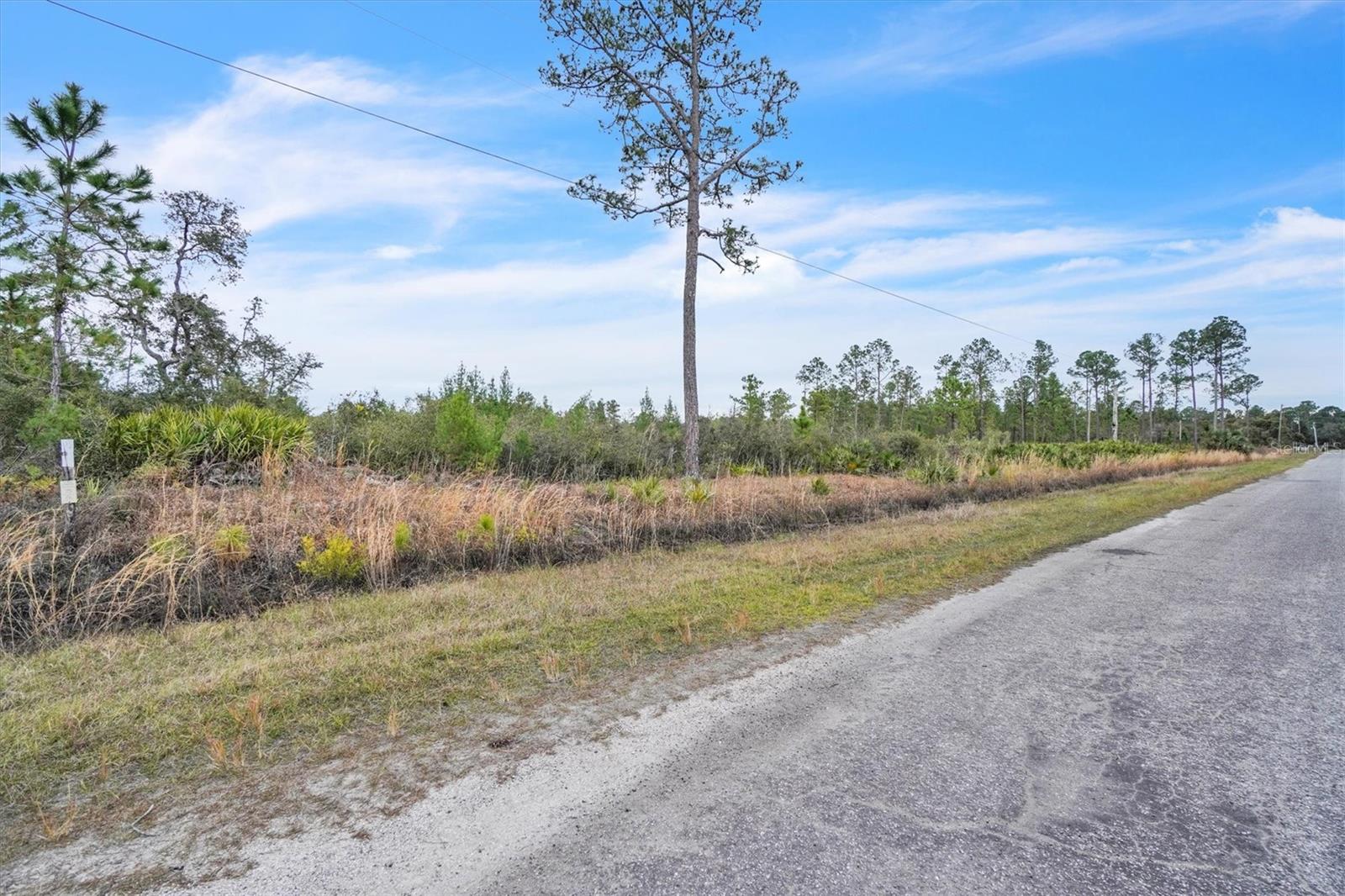 APRICOT AVE, EUSTIS, FL, 32736