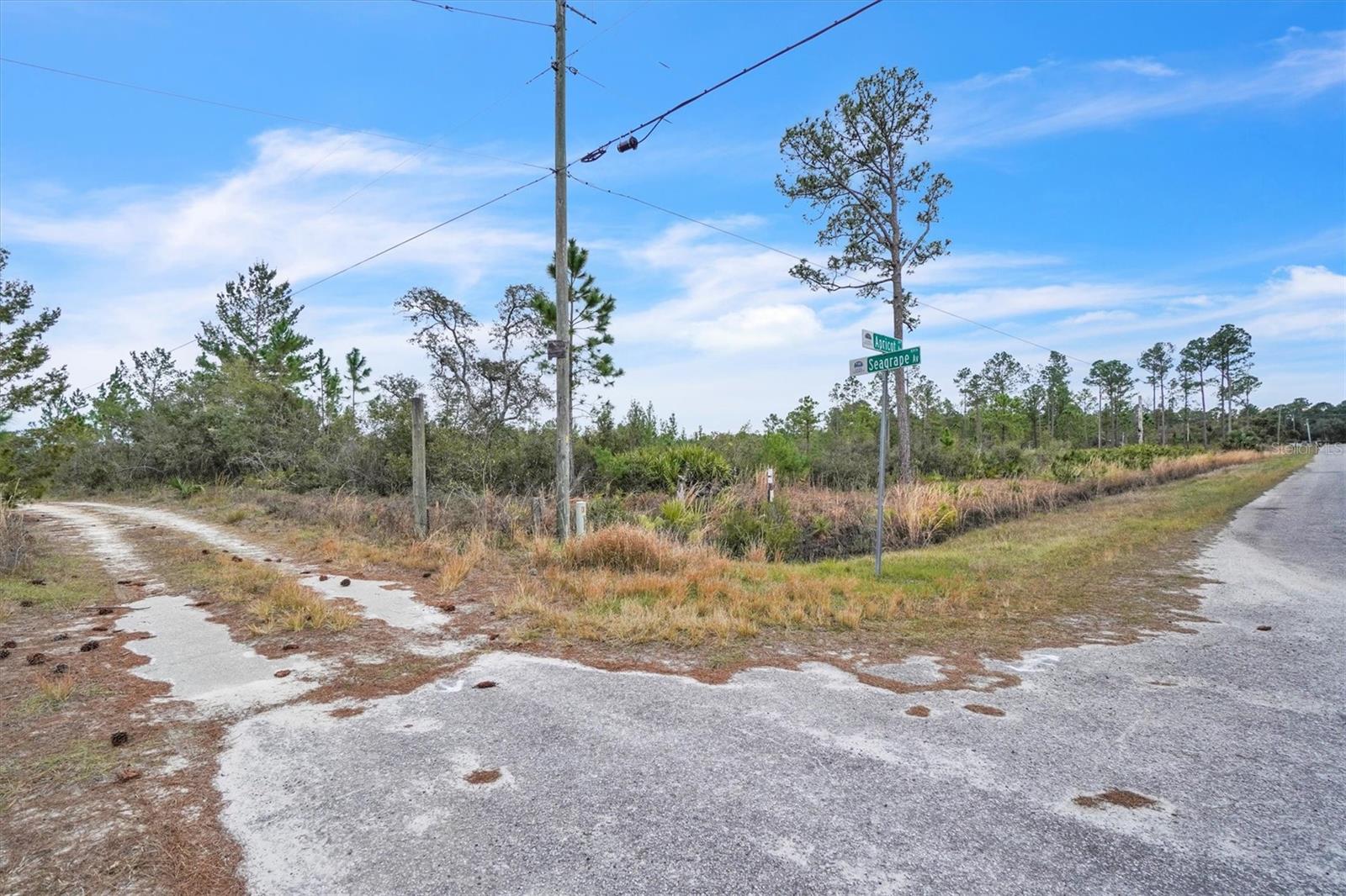 APRICOT AVE, EUSTIS, FL, 32736