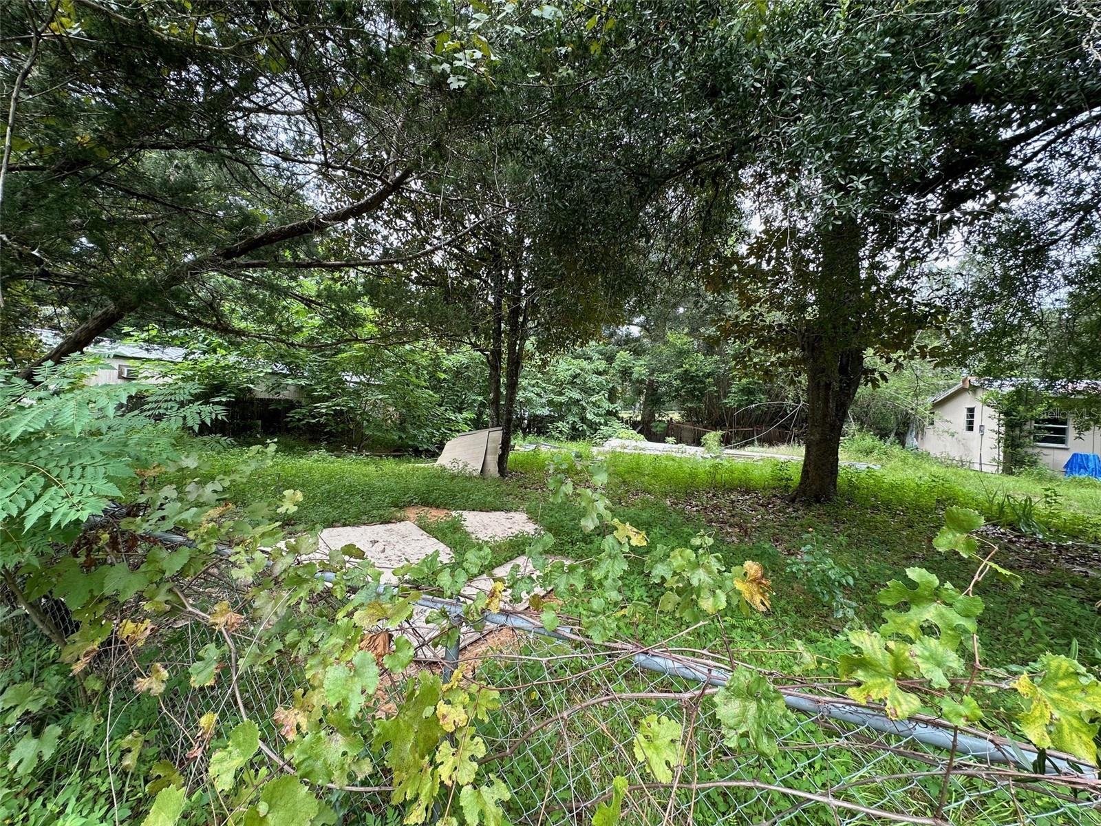 3231 E BUFFALO LN, HERNANDO, FL, 34442