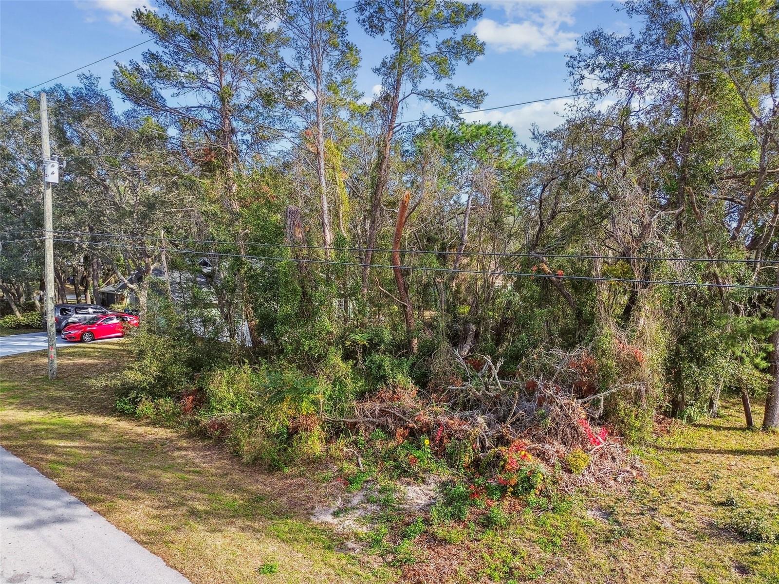 8332 GALLUP RD, SPRING HILL, FL, 34608