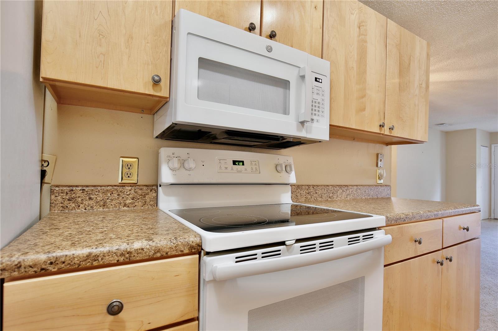 12340 TAVARES RIDGE LN #111, TAVARES, FL, 32778