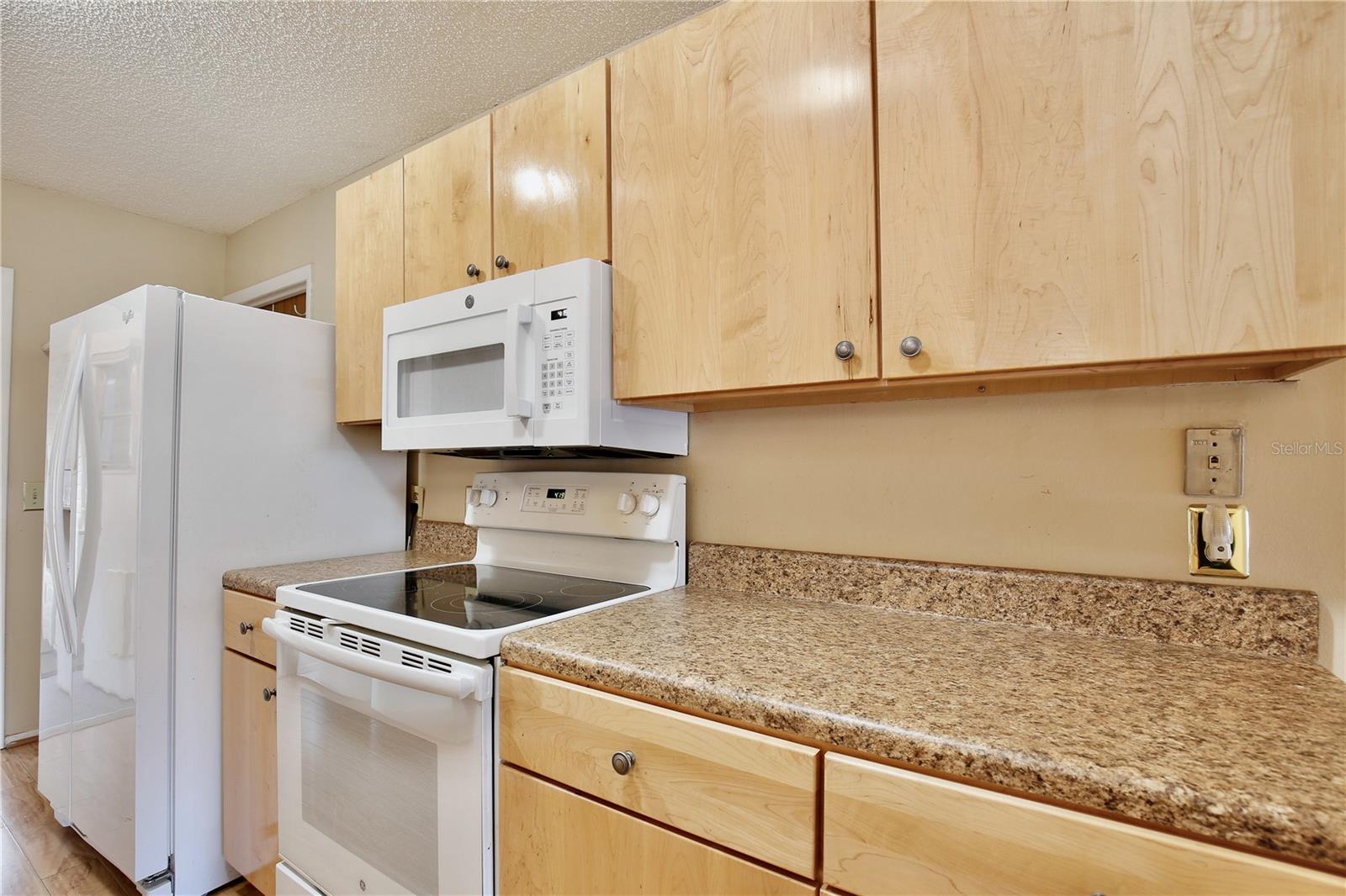 12340 TAVARES RIDGE LN #111, TAVARES, FL, 32778