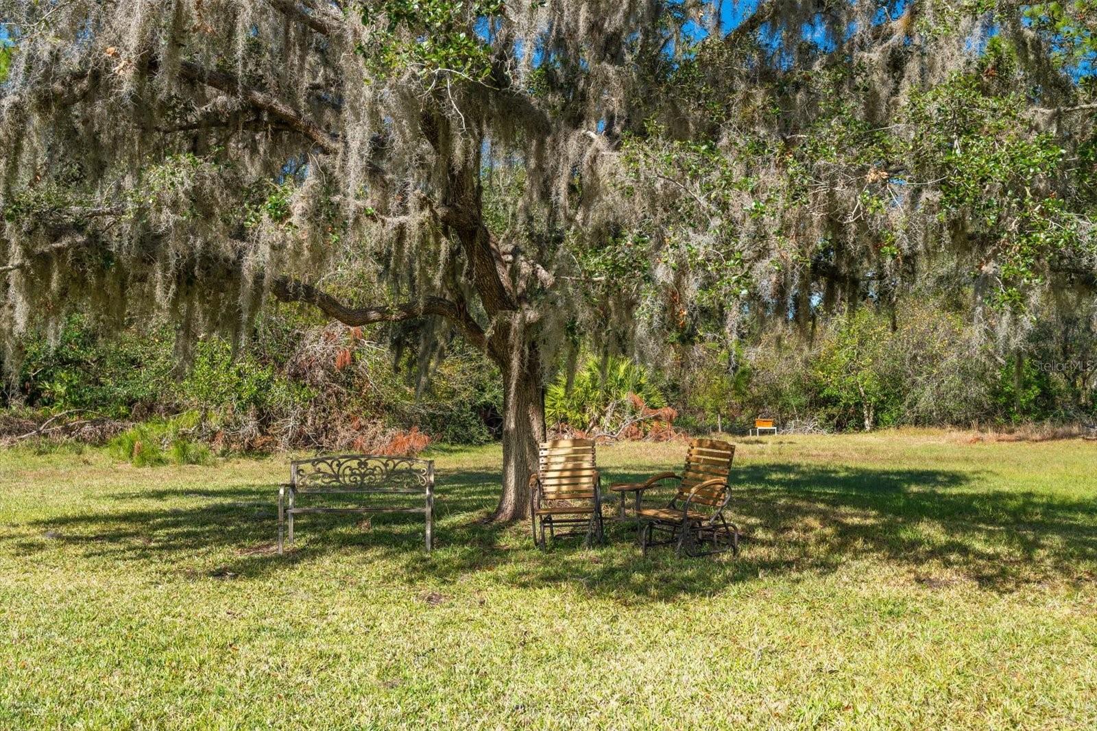 11701 MARSH HEAD ROAD, SARASOTA, FL, 34240