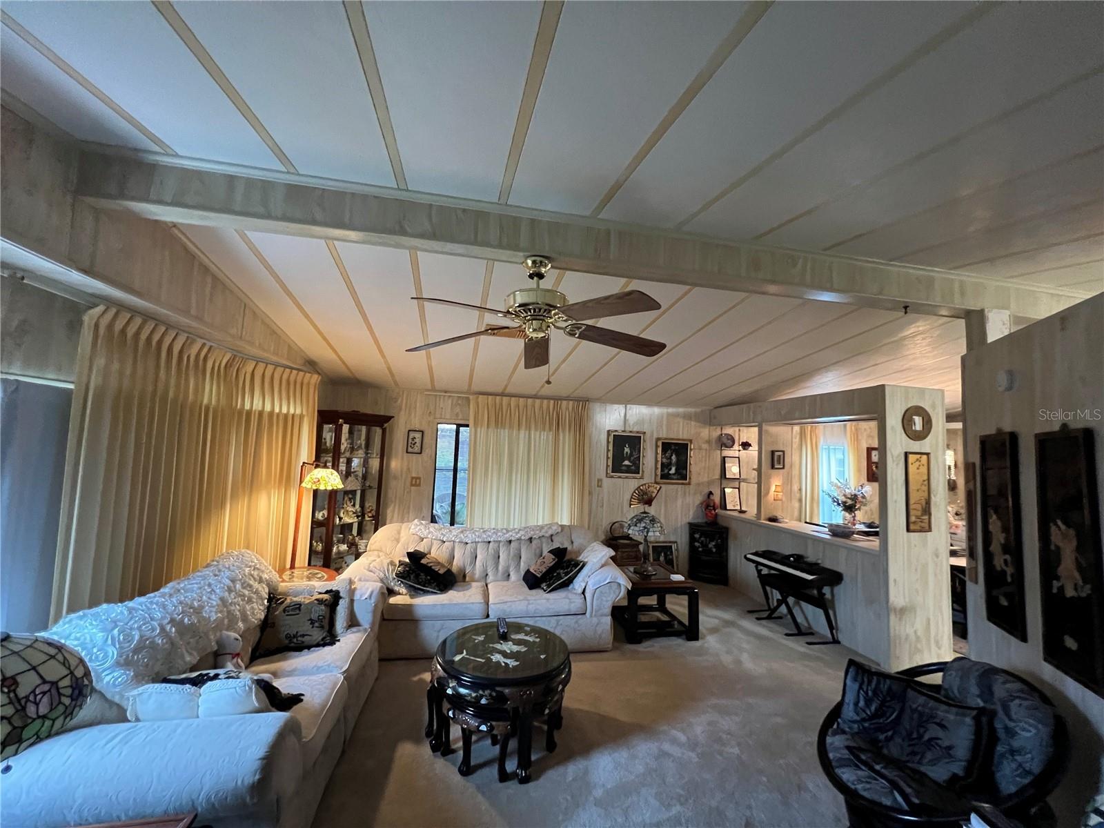 109 LYONIA LN, WILDWOOD, FL, 34785