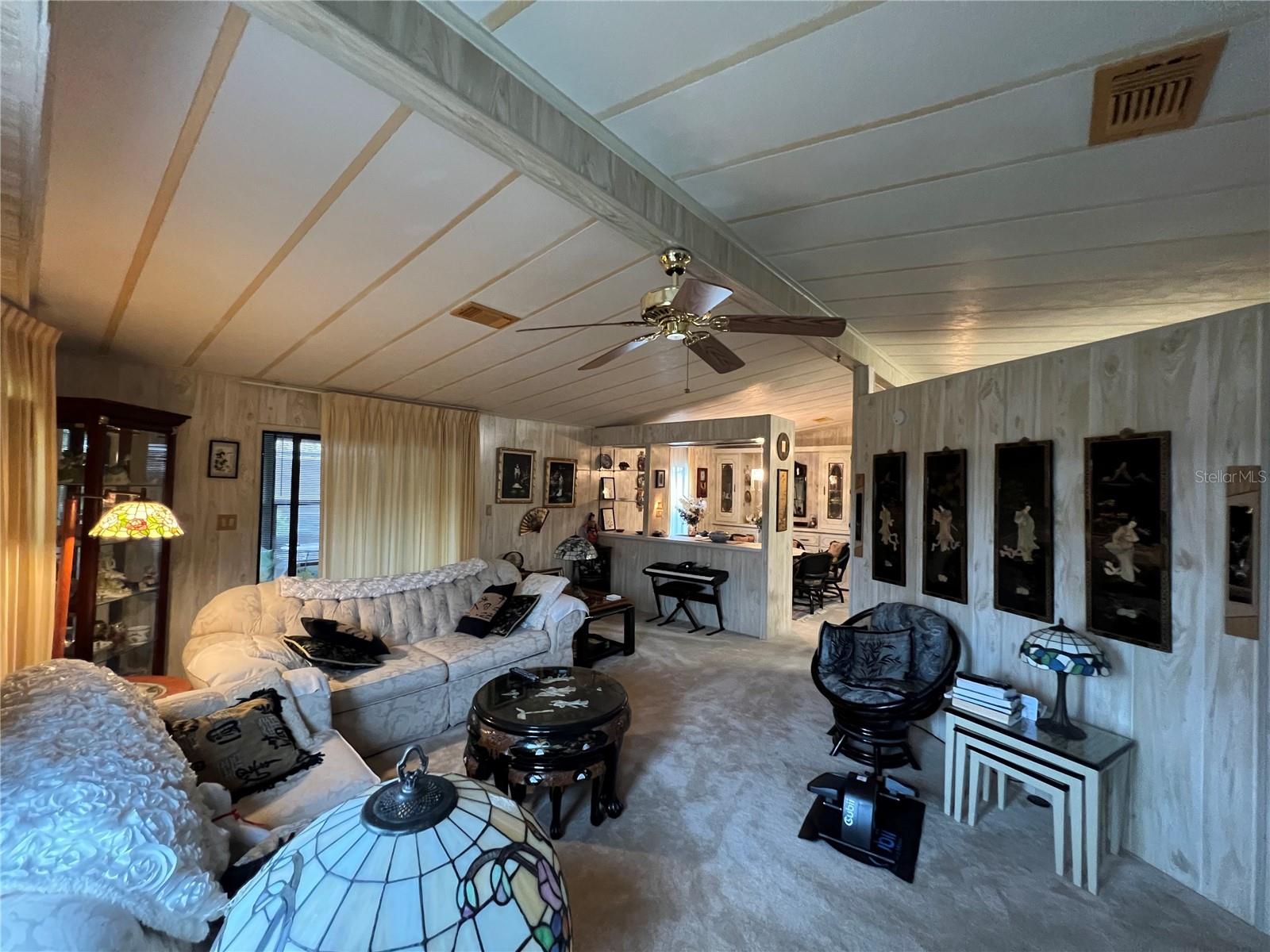 109 LYONIA LN, WILDWOOD, FL, 34785