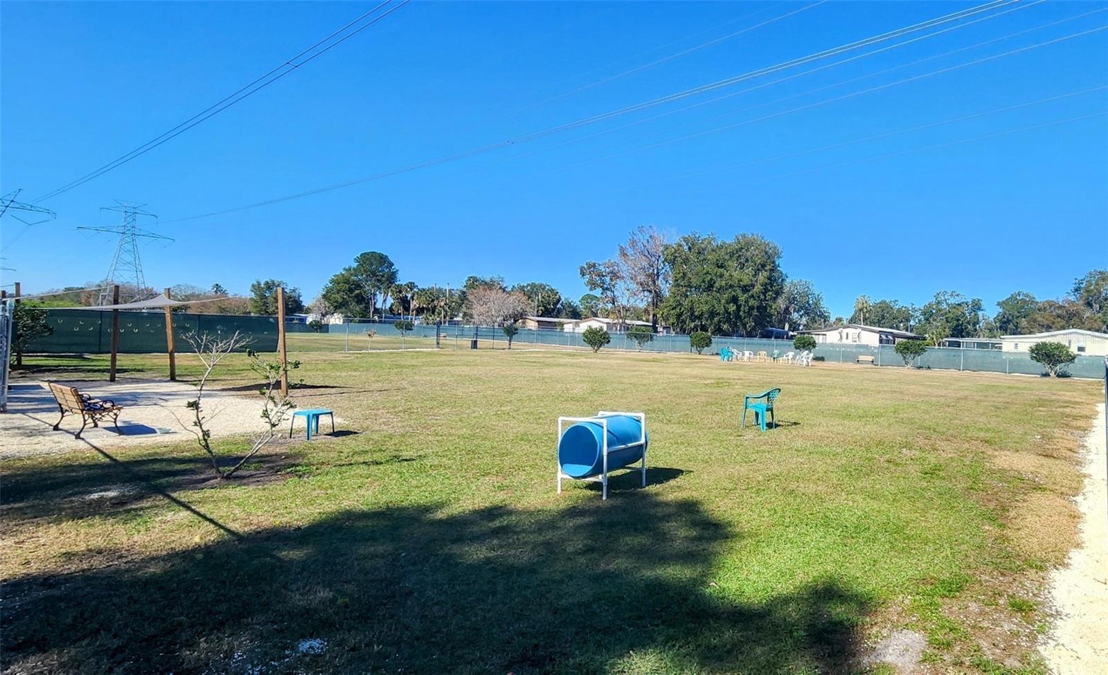 109 LYONIA LN, WILDWOOD, FL, 34785