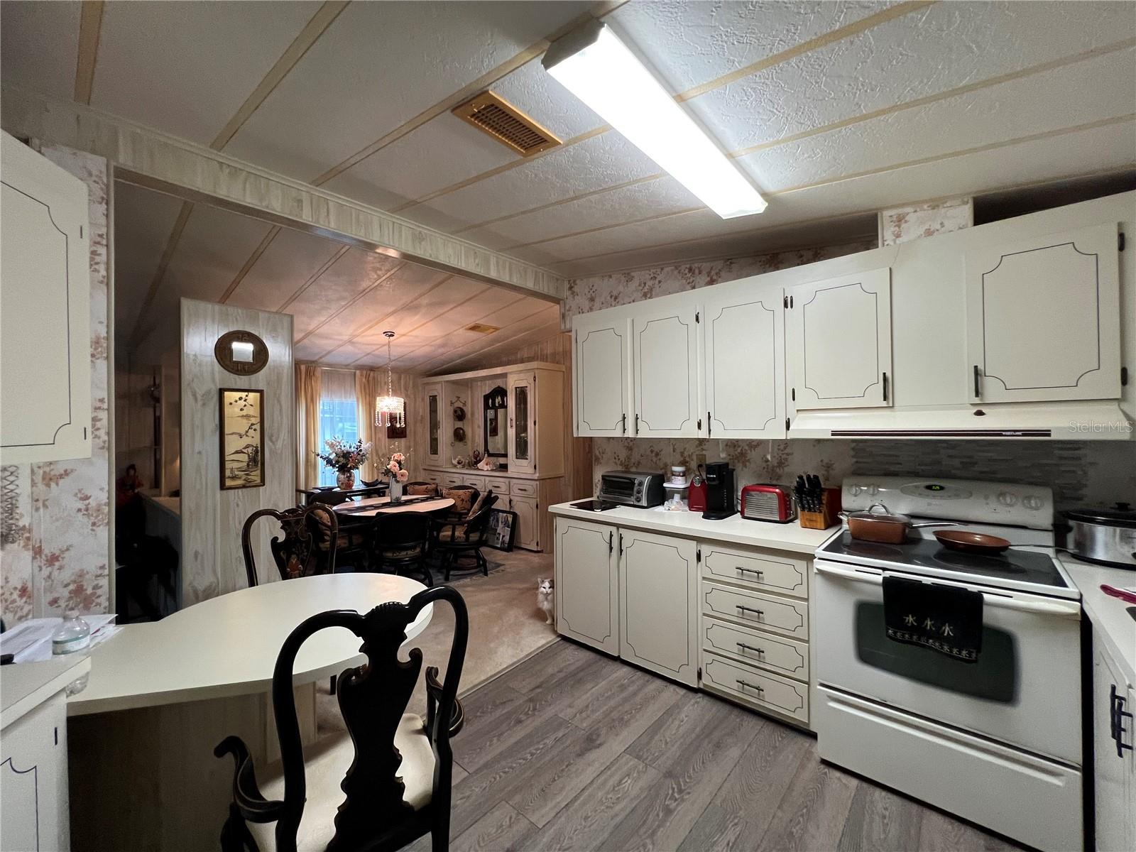 109 LYONIA LN, WILDWOOD, FL, 34785