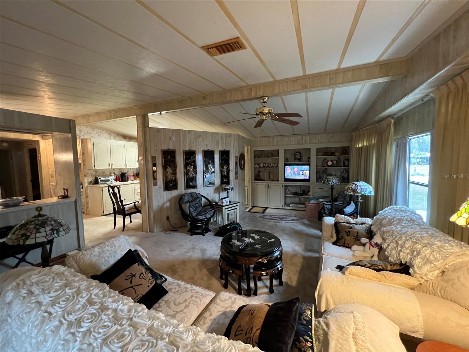 109 LYONIA LN, WILDWOOD, FL, 34785