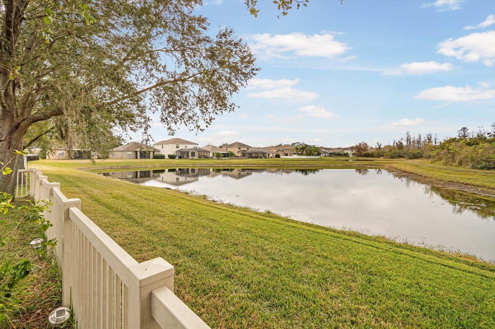 9551 JAYBIRD LN, LAND O LAKES, FL, 34638
