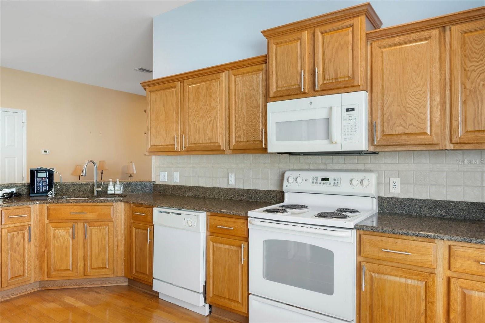 9551 JAYBIRD LN, LAND O LAKES, FL, 34638