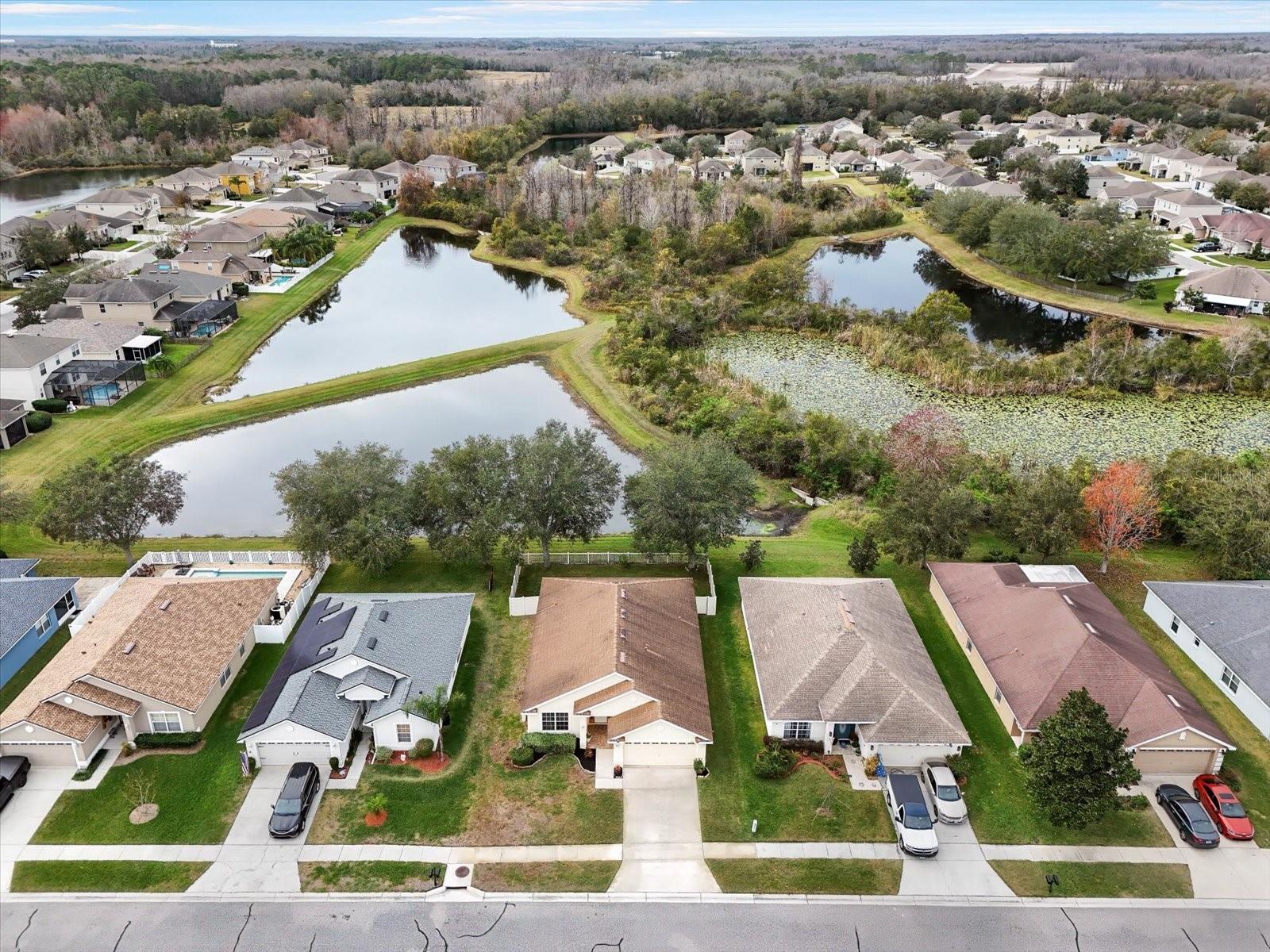 9551 JAYBIRD LN, LAND O LAKES, FL, 34638