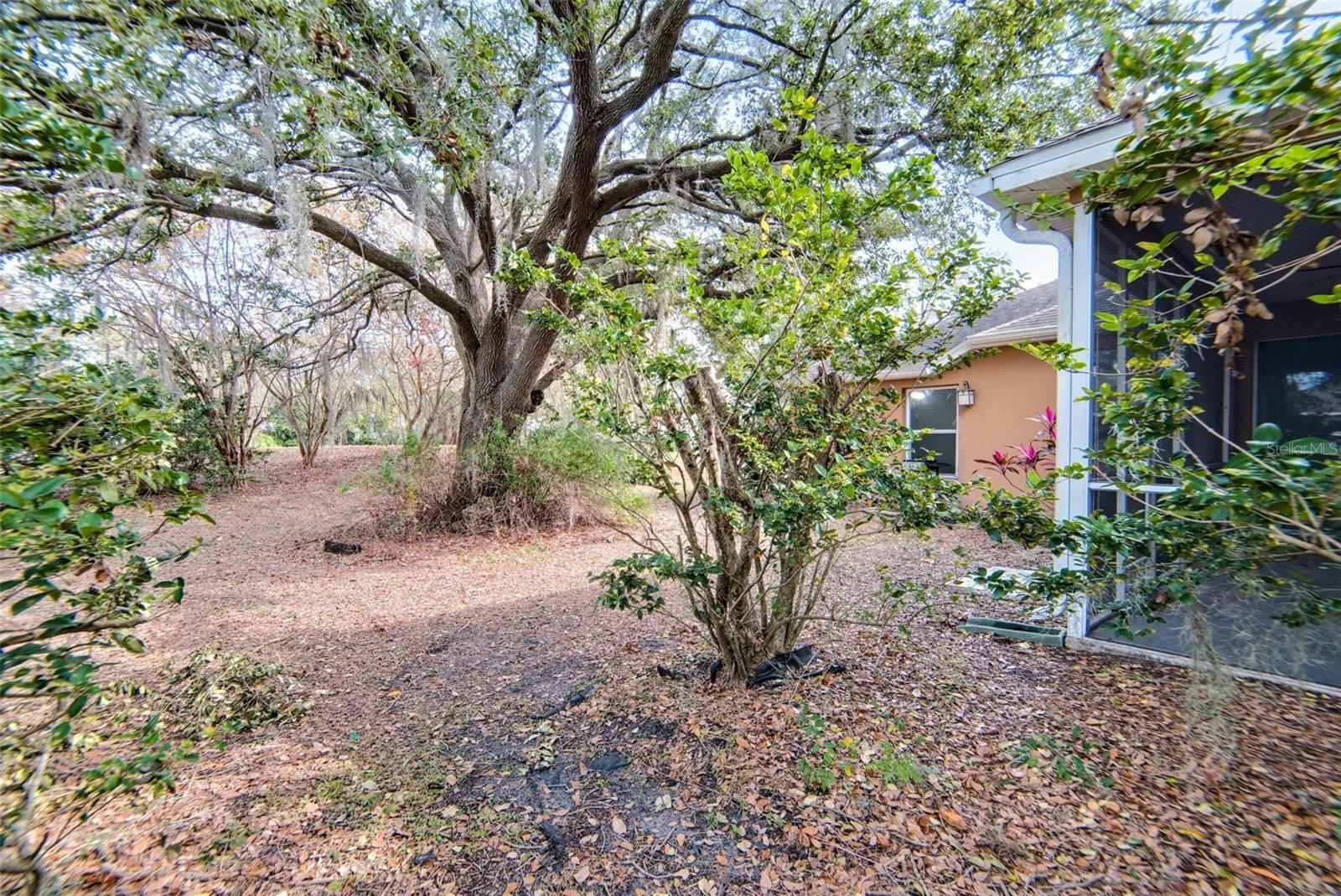 4020 CONCORD WAY, PLANT CITY, FL, 33566