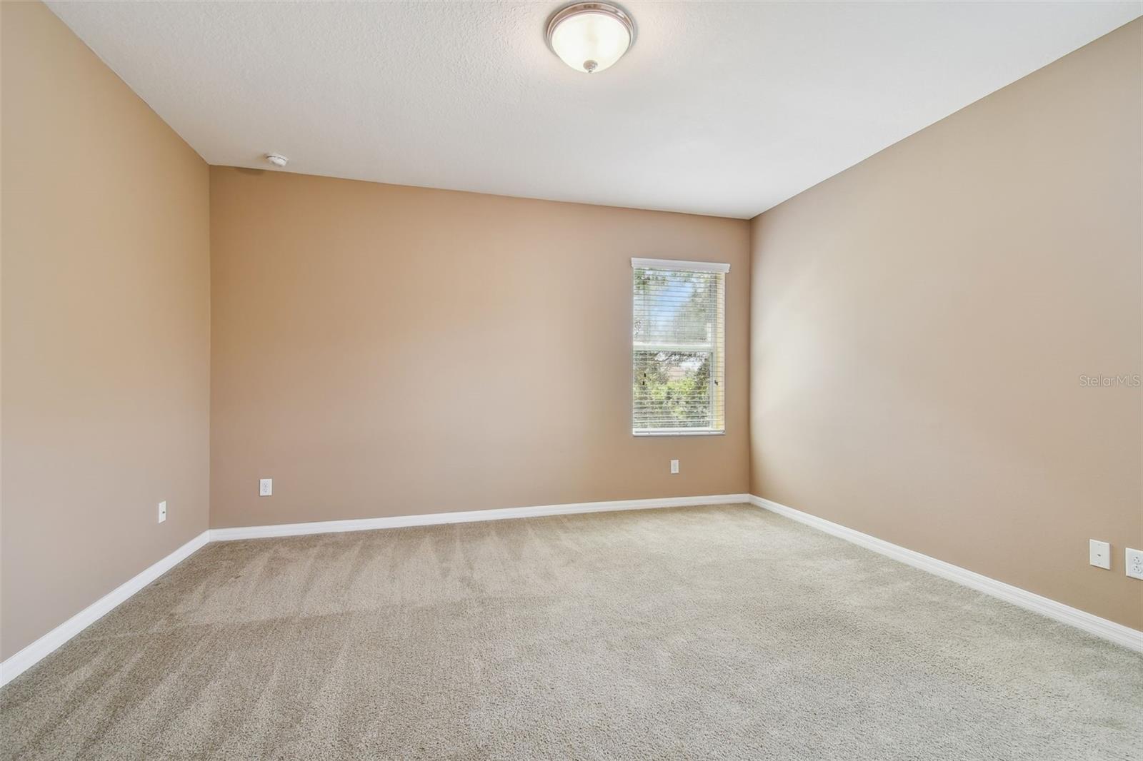 11224 ROSEATE DR, TAMPA, FL, 33626