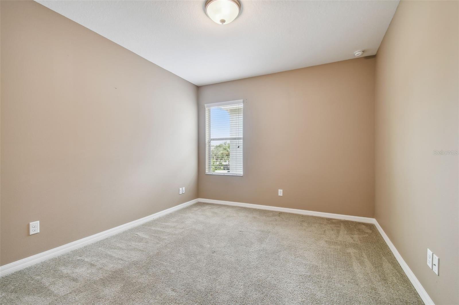 11224 ROSEATE DR, TAMPA, FL, 33626