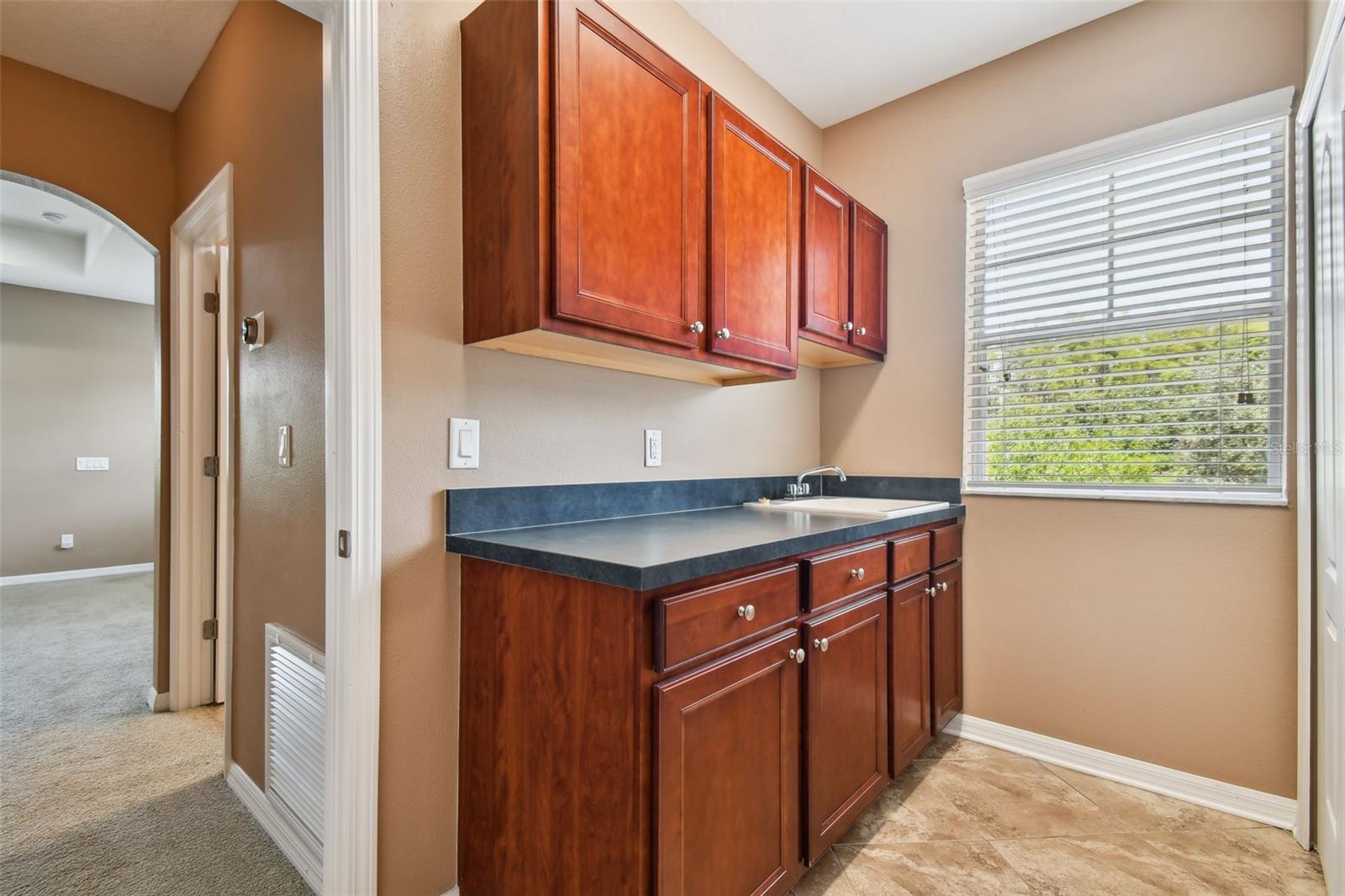 11224 ROSEATE DR, TAMPA, FL, 33626