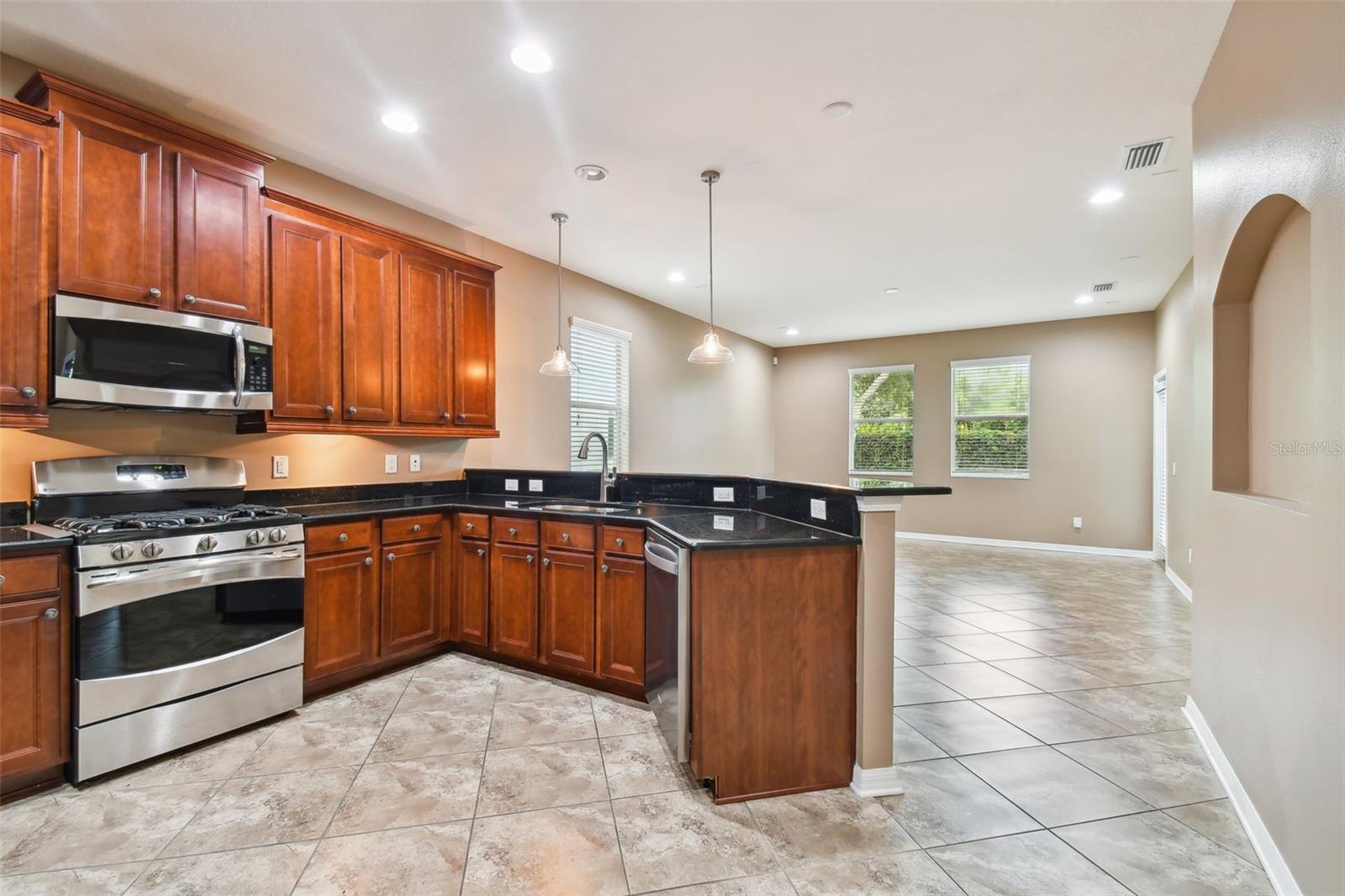 11224 ROSEATE DR, TAMPA, FL, 33626