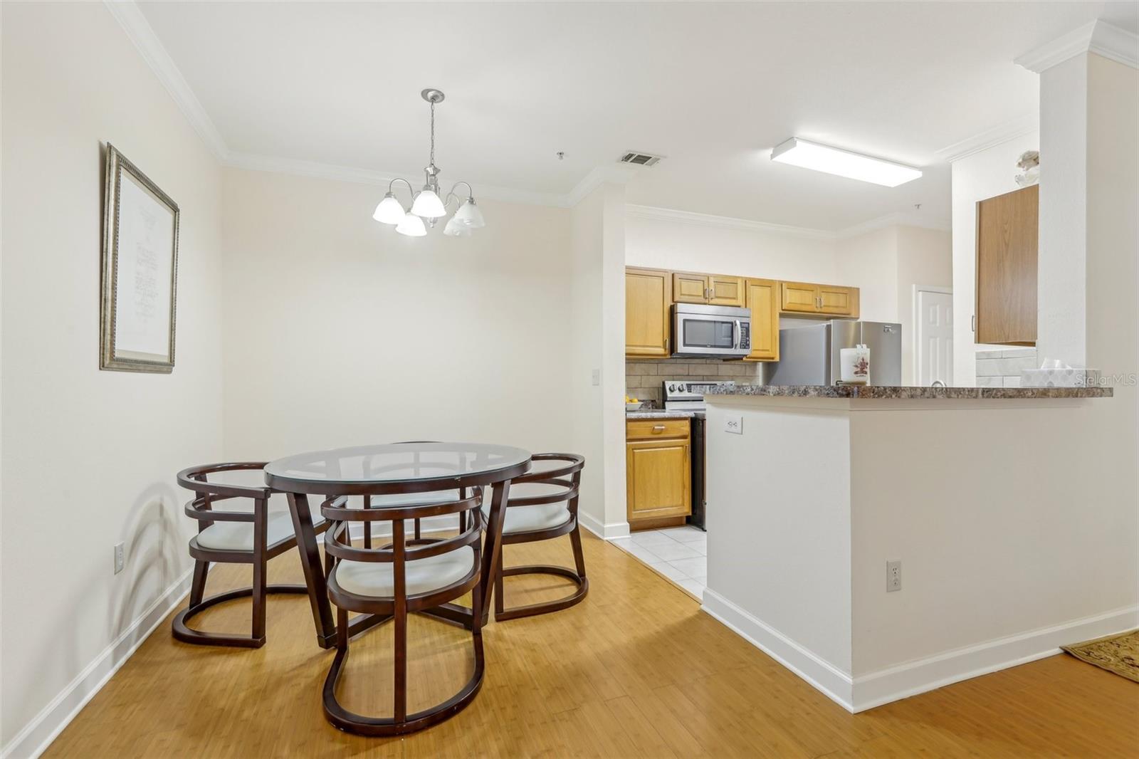 18402 BRIDLE CLUB DR #18402, TAMPA, FL, 33647