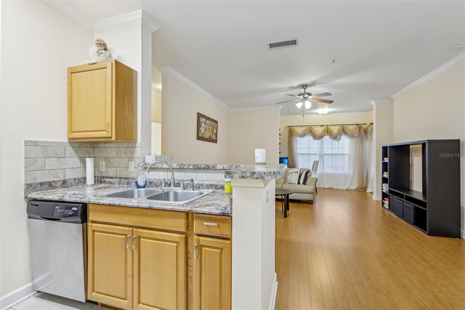18402 BRIDLE CLUB DR #18402, TAMPA, FL, 33647